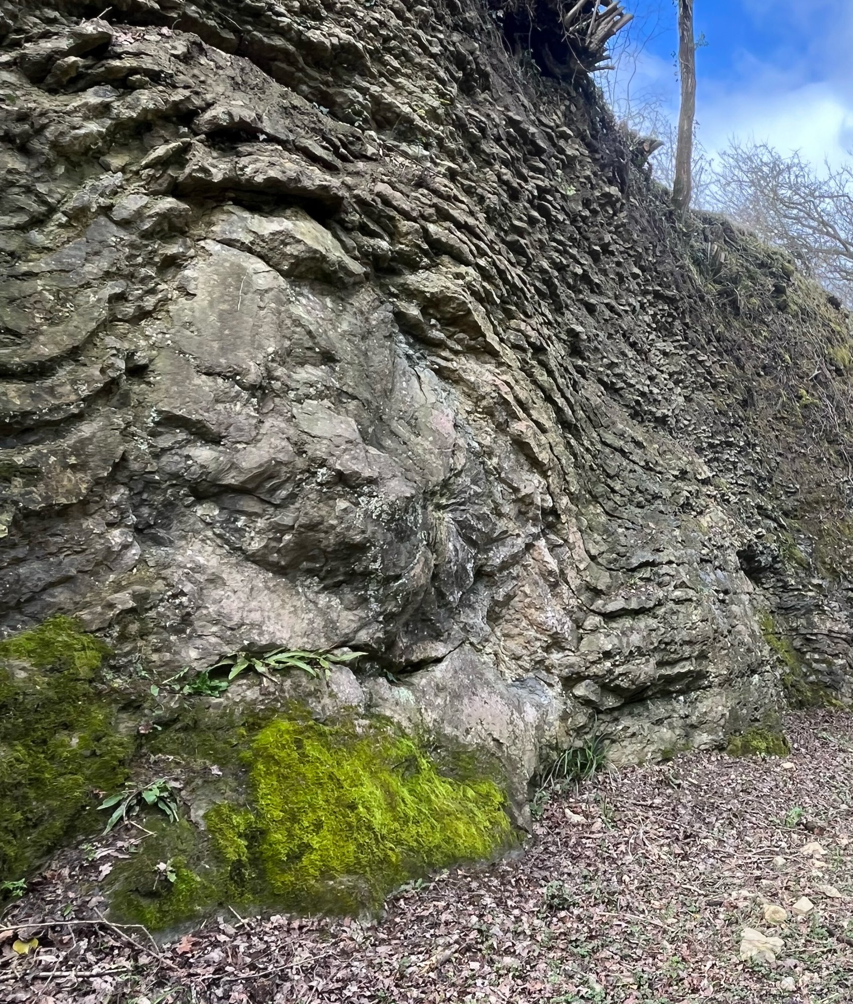 Ballstone Reef