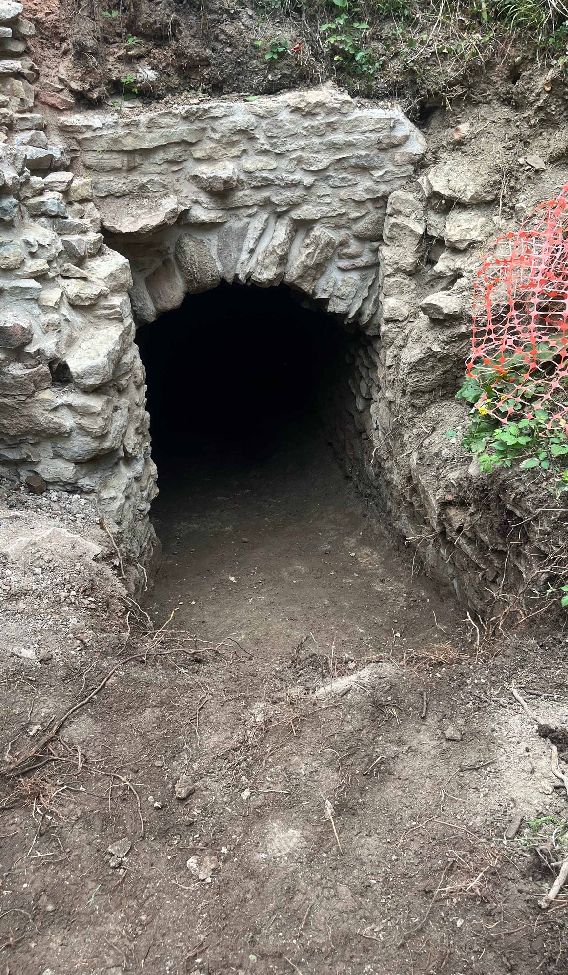 Chamber looking in on 5 July 2025